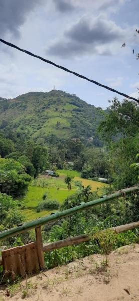 New green leaf resort